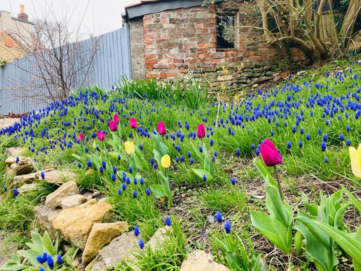 Cosy Cottage Four Miles From Lincoln City Centre Eksteriør bilde